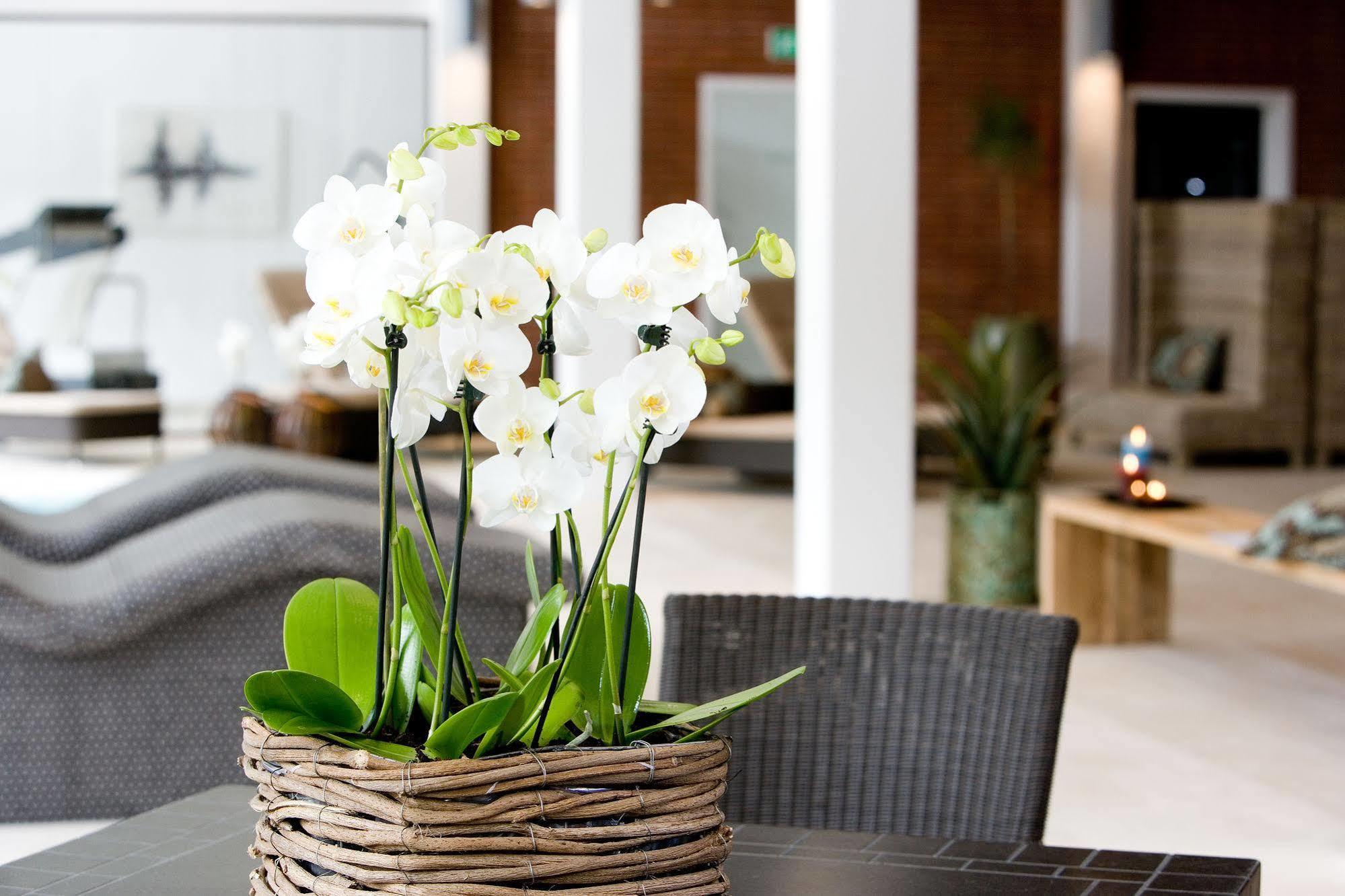 Hotel Hesselet Nyborg Ngoại thất bức ảnh
